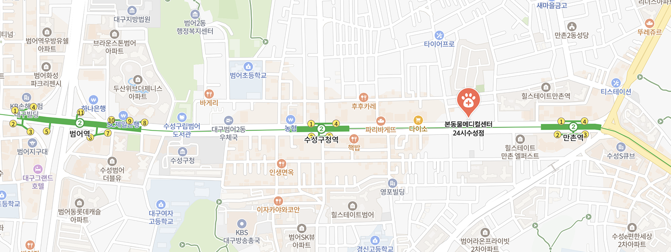 지도
