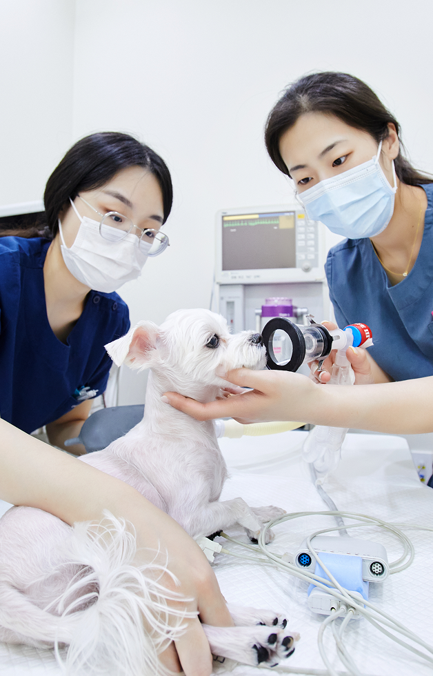 마취 부담 감소