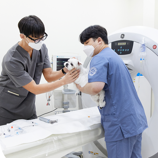종양 수술