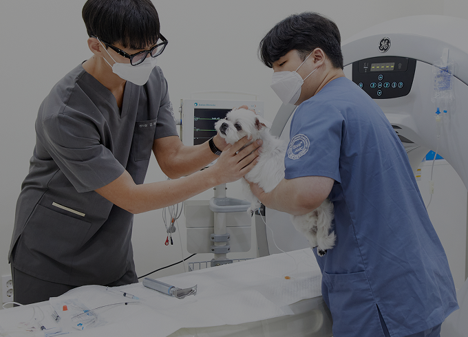 슬라이드1