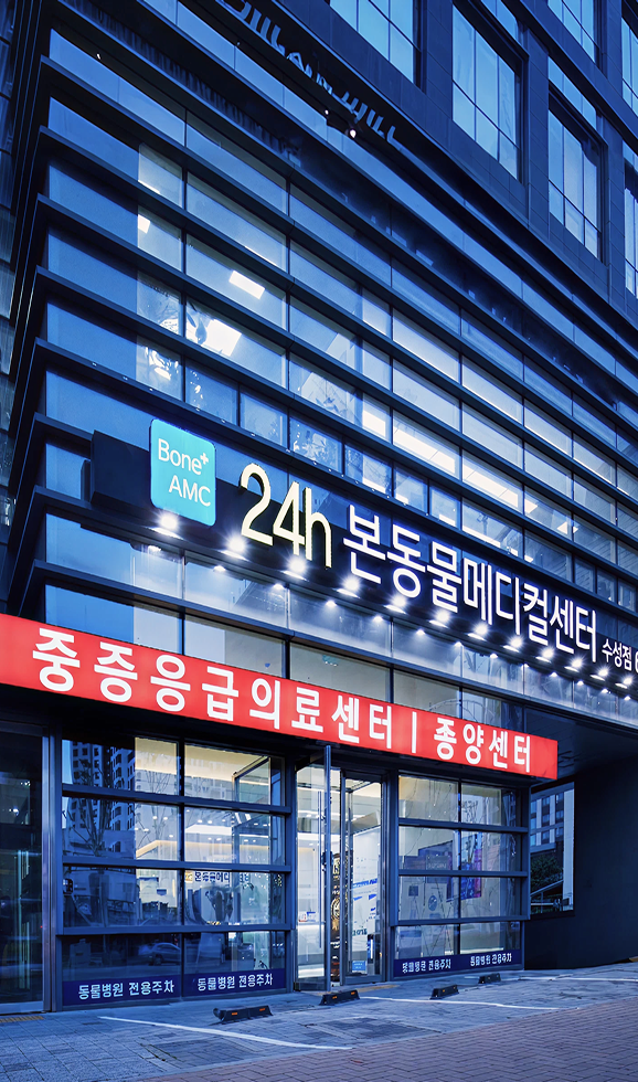 정교한 수술