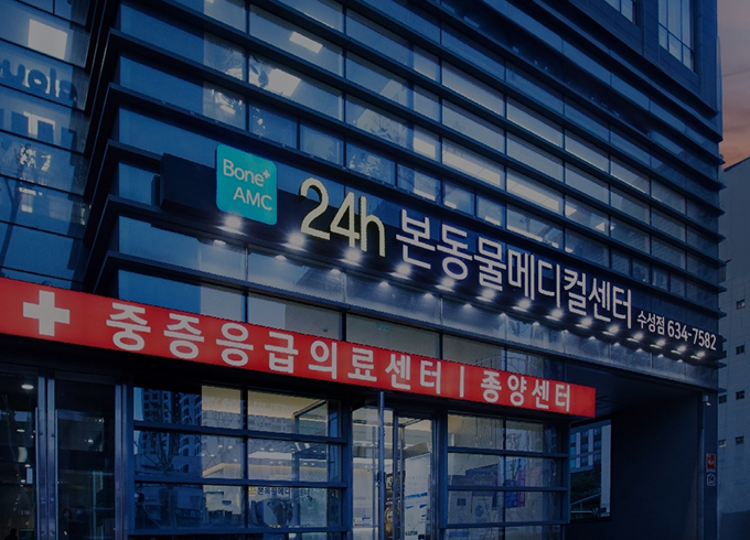 슬라이드1