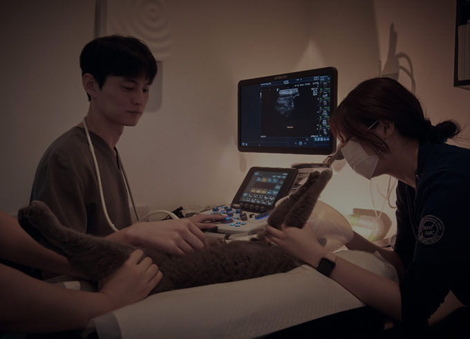 슬라이드1