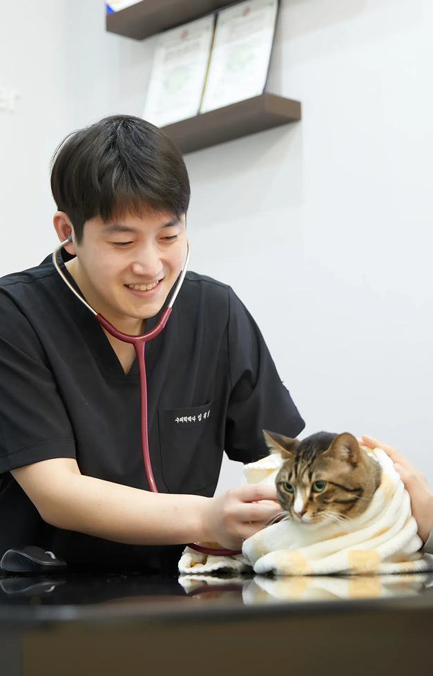 호스피스 관리